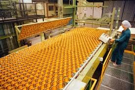 Food Processing