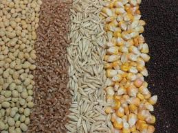 Grain and Milling