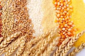 grain-milling-2